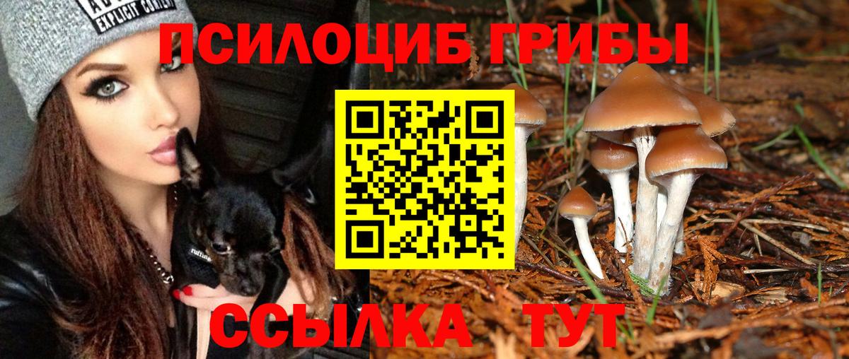 Галлюциногенные грибы ЛСД  купить наркоту  Березники  Галлюциногенные грибы Magic Shrooms  Вход с VPN 