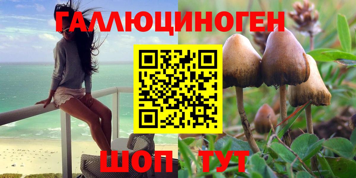 Псилоцибиновые грибы мухоморы Березники